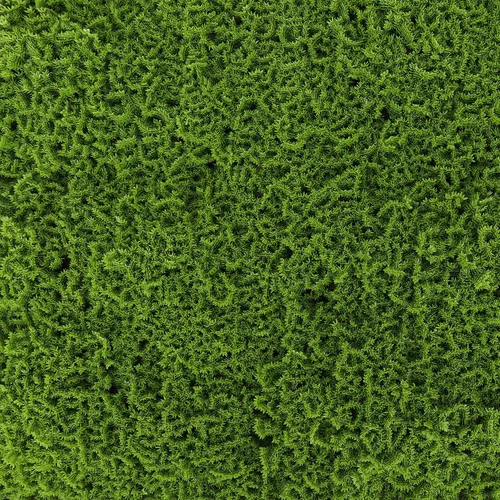 Vista 8 de 3rd Street Inn Paneles de pared de vegetación artificial para privacidad, paquete de 2