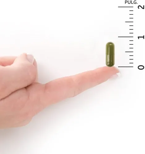 Vista 7 de Garden of Life Vitamina D, Vitamin Code Raw D3, Vitamina D 2,000 UI, Suplementos D3 de Alimentos Integrales Crudos con Chlorella, Frutas, Verduras