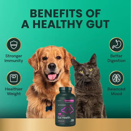 Vista 5 de VetriScience Laboratories - Mega Probiotic para perros y gatos, 120 cápsulas.
