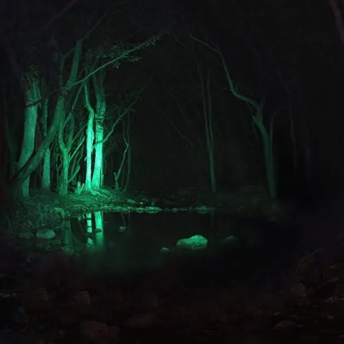Vista 7 de Detector de luz linterna verde Ulako único 1 modo con Zoom LED 150 yardas para la pesca y caza