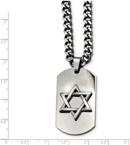 Vista 3 de Collar con colgante de placa de perro judío de la suerte de la estrella de David de acero inoxidable sólido, cadena de eslabones con cierre