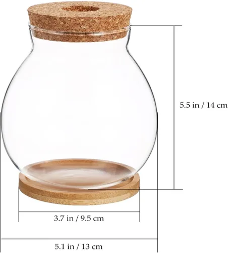 Vista 3 de Balacoo Pescadera hidropónica de escritorio, pecera de vidrio transparente con cojín de bambú y tapa de madera, pequeñas plantas de peces betta