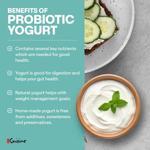 Vista 6 de Euro Cuisine YM360 Máquina para Hacer Yogur con control de tiempo y temperatura ajustable, tarro de vidrio de 2 cuartos de galón, termómetro GRATIS