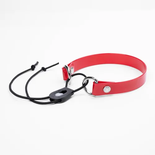 Vista 37 de Sparky Pet Co - Correa de repuesto ECollar - Collar de perro elástico - Impermeable - Ajustable - Bloqueo de rueda Nexus seguro - para entrenamiento