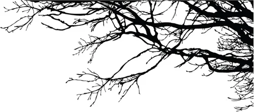 Vista 9 de Adhesivo decorativo para pared de árbol grande, ramas negras semi-brillantes, (21 x 50 pulgadas) de izquierda a derecha. Extraíble, no necesita