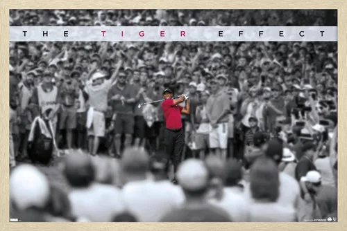 Vista 7 de Trends International Tiger Woods - Póster de pared con efecto tigre, 14.725 x 22.375 pulgadas, versión enmarcada de madera de granero Versión