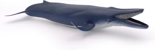 Vista 8 de Papo - Figura realista de ballena azul para niños - A partir de 3 años - Colección de vida marina - Juego educativo de mamíferos marinos - Juguete