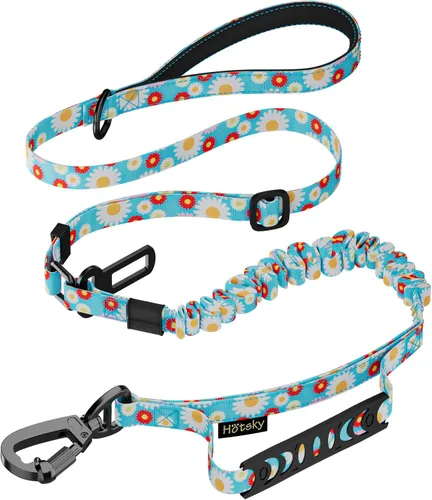 Vista 10 de Hotsky Bungee táctico que absorbe los golpes, correa fuerte para perro, CP