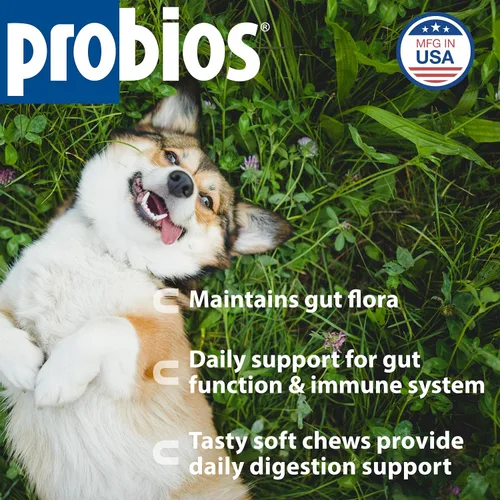 Vista 2 de Probios Masticables suaves para perros, suplemento probiótico diario para la salud intestinal, digestión y apoyo inmunológico, razas medianas