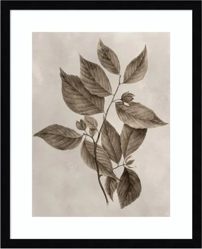 Vista 10 de Amanti Art Lienzo decorativo para pared enmarcado de 24 x 20 pulgadas, muestra de árbol III de Vision Studio, arte de pared de naturaleza