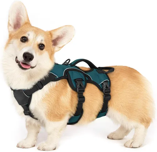 Vista 37 de rabbitgoo - Arnés para perros a prueba de fugas, arnés para mascotas acolchado y suave de cuerpo completo, arnés reflectante ajustable sin tirones