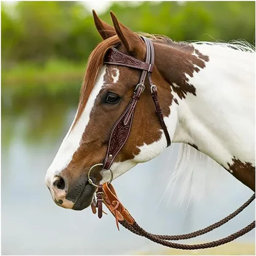 Vista 2 de Schneiders Doble S Apache Browband Headstall Equipo esencial para caballos Uso versátil Diseño manual Ajustable y cómodo Acentos de acero