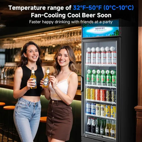 Vista 4 de BODEGA BODEGACOOLER Refrigerador Comercial Exhibidor de 9 Pies Cúbicos, Refrigerador Comercial Grande Negro con Puerta de Vidrio, Luz LED/Cerradura