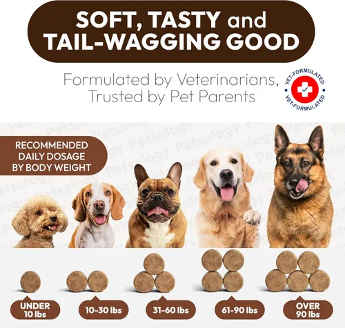 Vista 8 de Hongo de cola de pavo para perros – 250 masticables – Melena de león – Shiitake – Reishi – Protector de apoyo inmunológico Buddy – Suplemento