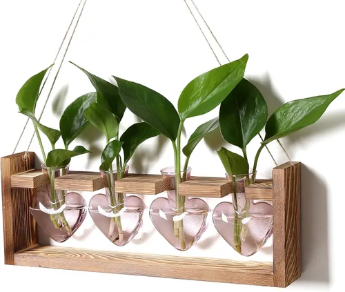 Vista 10 de Estaciones de propagación de plantas, kit de terrario de plantas de corazón, regalo para mujeres, amantes de las plantas, jarrones de vidrio Ámbar
