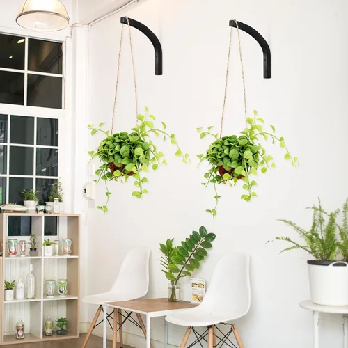 Vista 5 de Juexica 4 Piezas Colgador de Plantas de Madera, Ganchos Colgantes para Plantas de 8 Pulgadas para Interiores y Exteriores, Soportes de Ganchos