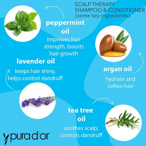 Vista 3 de PURA D'OR Juego de champú y acondicionador para terapia del cuero cabelludo (16 onzas líquidas x 2) + gel de baño corporal Awakening (16oz) con aloe