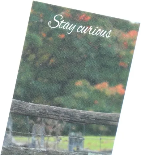 Vista 4 de Curious Sheep Bookmark, Original Photography, Book Lovers, Student, Teacher Gift, Set of 1