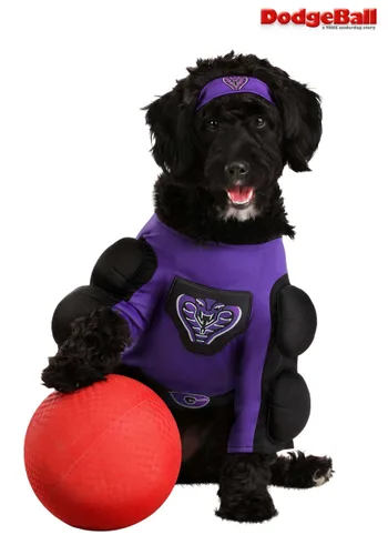 Vista 5 de Disfraz de Perro Globo Gym Dodgeball Multicolor