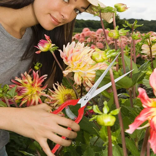Vista 6 de Tijeras de podar extralargas, podadoras manuales de jardinería con cuchillas de acero inoxidable, tijeras de jardín para arreglar flores, recortar