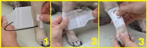 Vista 5 de PawFlex Vendajes básicos para las piernas para perros, gatos, mascotas, no adhesivos, aptos para pieles de primera ayuda, cuidado suave y elástico