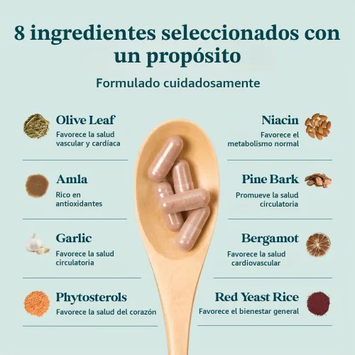 Vista 4 de Suplemento Complejo de Colesterol Pattern Wellness - 90 Cápsulas Veganas
