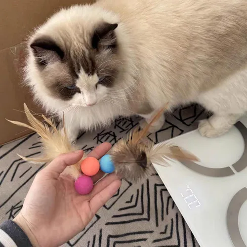 Vista 5 de Pelotas de juguete para gatos con plumas, 3 pelotas interactivas para gatos de interior y gatitos juguetones, juguetes de goma
