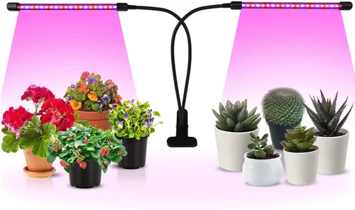 Vista 14 de iPower Luz LED de crecimiento con espectro completo para plantas de interior, cuello de cisne ajustable, 5 niveles regulables, 3 modos de Blanco