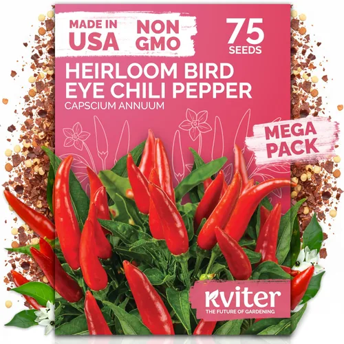 Vista 41 de KVITER 50 semillas de calabaza de azúcar orgánicas (Cucurbita Pepo) – Semilla de calabaza pequeña reliquia, carne dulce de grano fino para enlatar