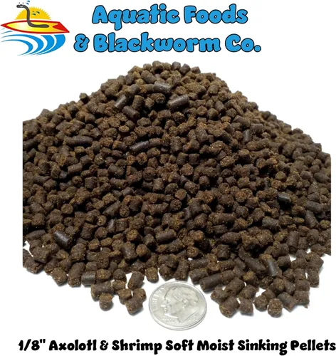 Vista 2 de Axolotl Food, pellets de hundimiento húmedo suave de 1/8 pulgadas, pellets de salmón de Rangen para ajolote pequeño. También camarones, caracoles