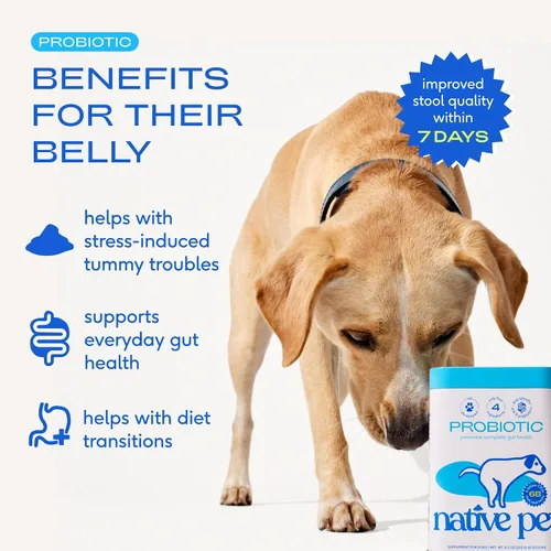 Vista 3 de Native Pet Probiótico para perros y aceite omega para perros Polvo probiótico creado por veterinarios para perros para problemas digestivos 8