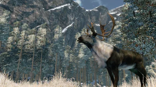 Vista 3 de Cabela's Outdoor Adventure '10 - Playstation 3