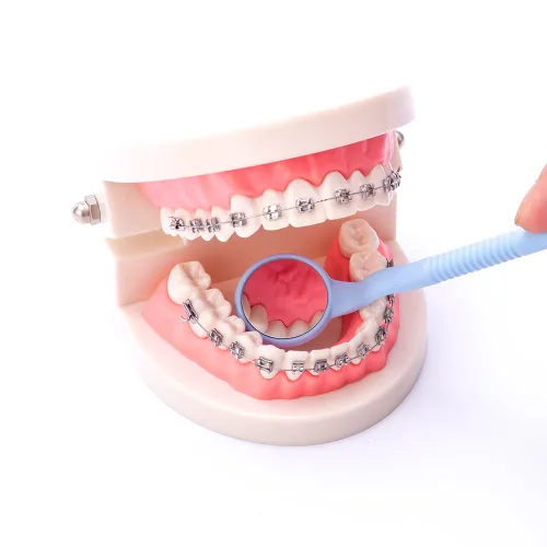 Vista 4 de Easyinsmile Espejo bucal dental autoclavable anti niebla para inspección dental dental de plástico espejos dentales para dientes orales (verde)