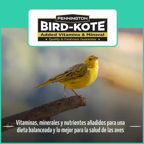Vista 6 de Pennington - Pride Wild Finch - Mezcla de semillas para pájaros silvestres, 10 libras For outside feeders, special mix for a variety of musical &