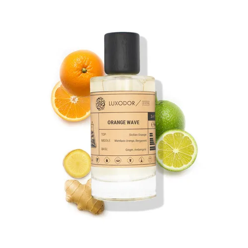 Vista 37 de Inspirado en S.antal 33 Eau De Parfum Perfume de madera de sándalo y madera, 3.4 fl oz (3.4 fl oz) con aceite concentrado, Perfume unisex S.antal
