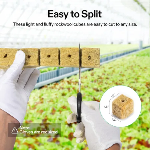 Vista 3 de VIVOSUN Cubos de Lana de Roca de 1.6", 28 Tapones Cubos Iniciadores de Cultivo de Lana de Piedra para Esquejes, Clonación, Propagación de Plantas