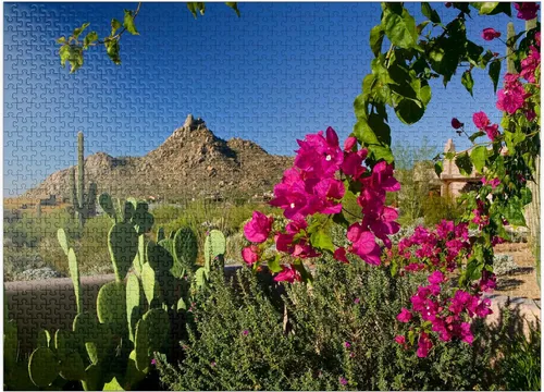Vista 9 de MyPuzzle Bougainvillea with Pinnacle Peak, Scottsdale, Arizona, Estados Unidos, rompecabezas prémium de 500 piezas para adultos