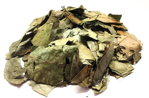 Vista 2 de Hojas secas de graviola, hojas de té de guanábana secas, hojas de guanabana 2 oz y 4 oz (2 onzas)