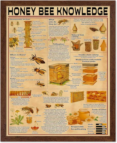 Vista 53 de Poster Master Póster de conocimiento de preparación de café, impresión de preparación de café, ilustración de alimentos y bebidas, impresión