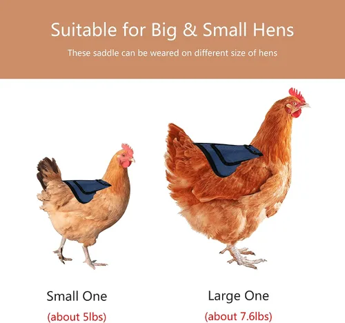 Vista 5 de Sillines de pollo de alta calidad de 3 piezas con correa elástica, ropa de suéter para soltero, protector de pájaros para espalda y lados