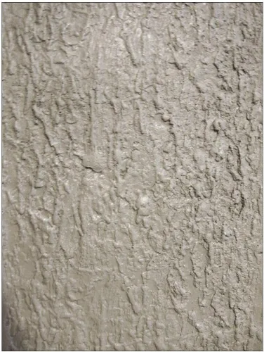 Vista 3 de Tru Tex Light Bark - Funda de rodillo con textura para hormigón, vertical, retoques, encimeras, superposición, patrones rápidos, fáciles de usar