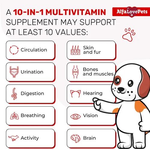 Vista 2 de Multivitamínico líquido para perros – Multivitaminas para gatos de interior – 10 en 1 vitaminas líquidas para perros complejo B, C, D3 – Digestión
