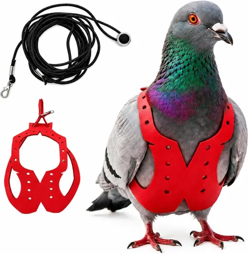 Vista 32 de Juego de arnés ajustable y correa para pájaros pequeños, apto para periquitos, conures, cacatúas, mejillas verdes, loros cuáqueros (verde, XS) 6350-6