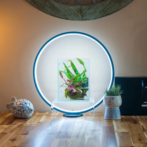 Vista 6 de Luz de crecimiento de plantas de espectro completo con soporte de exhibición, para terrario, acuario de nano pez, bonsái, plantas en maceta. Regalo