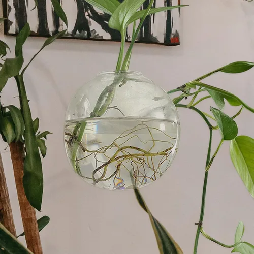 Vista 7 de Wall Hanging Hydroponic Glass Planter Vase 15cm Hanging Flower Pot with No-Trace Nail for Indoor Greenery and Succulent Propagation