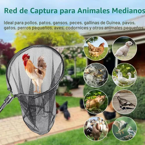 Vista 2 de Red de captura – Atrapa animales pequeños para pollo, pato, ganso, pescado, gato, pájaro, mapache, perro y otros