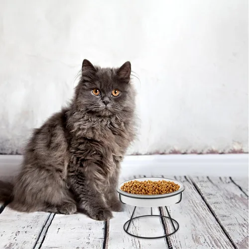 Vista 6 de Ceramic Cat Bowl Elevated Slow Feeder with Iron Stand