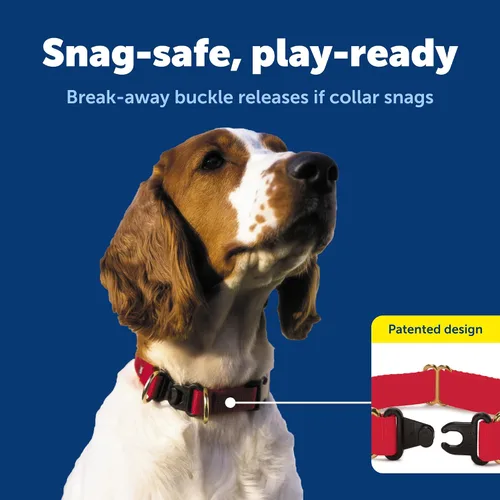 Vista 3 de Collar de seguridad KeepSafe Break-Away de PetSafe - Protege a los perros de accidentes de collar - Hebilla patentada de desenganche - Diseño