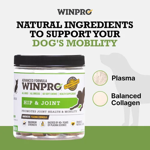 Vista 3 de WINPRO Suplemento para cadera y articulaciones para perros - Masticables suaves potenciados por plasma para la salud de las articulaciones