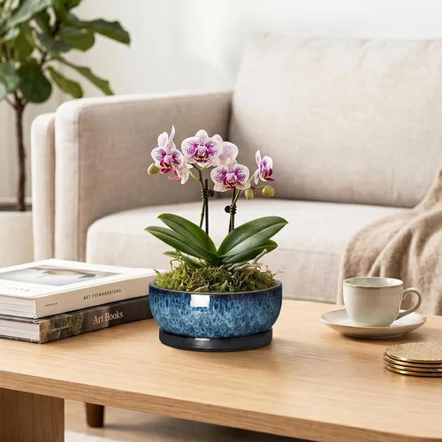 Vista 5 de Succulent Pots, 6 Inch Ceramic Bonsai Pots with Saucer, Blue